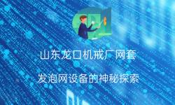 山东龙口机戒厂网套：发泡网设备的神秘探索