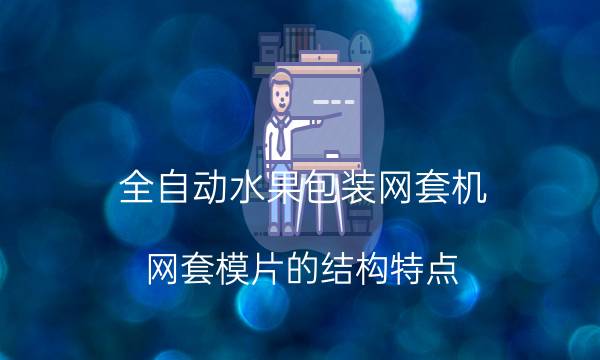 全自动水果包装网套机:网套模片的结构特点